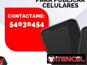cc4ae37e29495ed440079f005b4da2841308f11c550793d8d302e7b9feaaf584-2