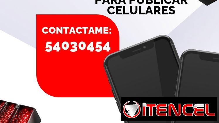 Buscamos Gestores