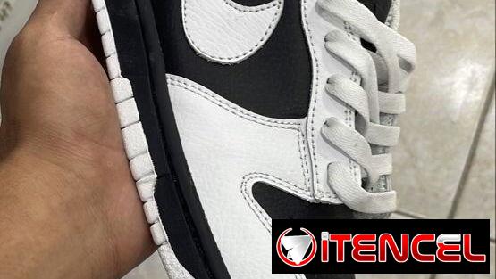 Zapatos ideales para elGym y el día a día baratos