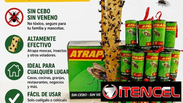 Trampas para Moscas