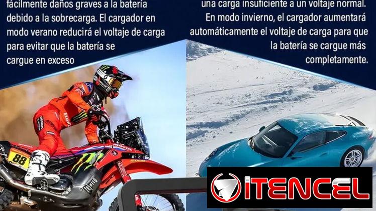 Cargador inteligente de batería 12V 24V 20a