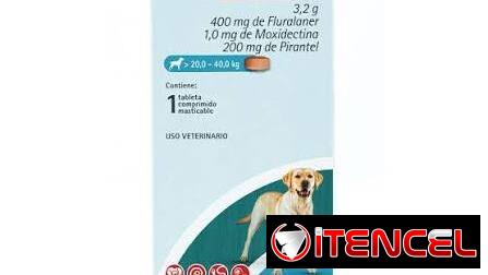 Bravecto 1M Triple de 20-40kg, tableta masticable para mascotas, ideal para perros grandes.