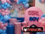 Decoraciones para fiestas de revelación de sexo y babyshower