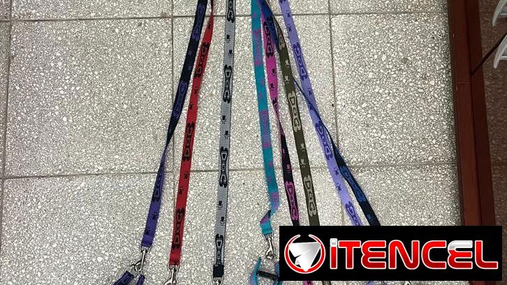 Correas y collares !!