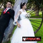 cec966c223945fff343350619993a6d549e0215c4e09ffcd7de4aba6a7940887