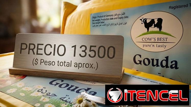 Queso gouda alemán la delicia en persona