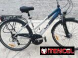 Bicicleta de paseo chimano
