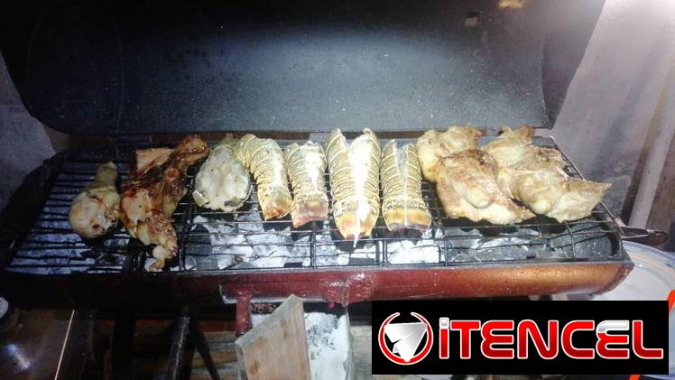 Horno cocina parrilla hornilla carbón BBQ asador