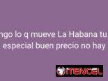 Gasolina Especial