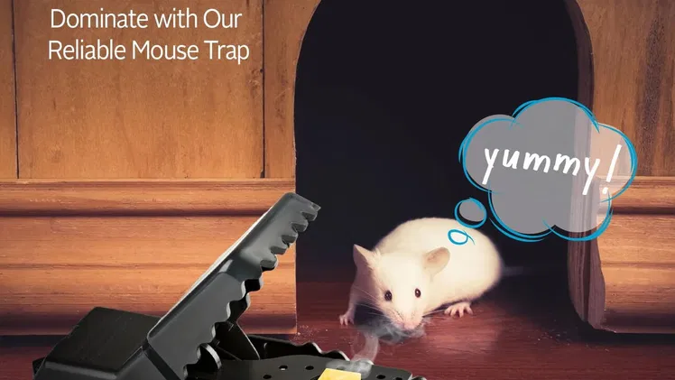 Ratoneras resistentes reutilizables