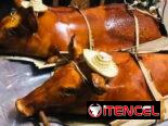Comidas criollas a domicilio