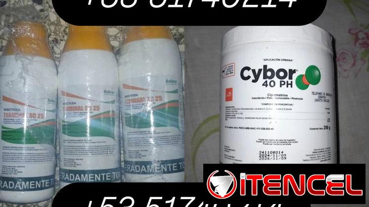 Insecticidas