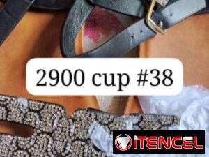 d089dbe64d48141b437cc11eda71c624e7f2bd2bc1ca99f2d270d3bd45987a12
