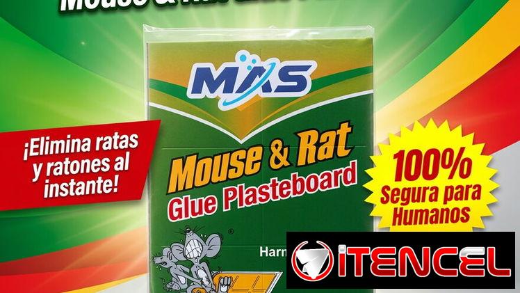 Trampa para ratón