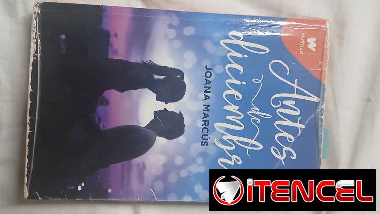 Vendo este libro llamado Antes de diciembre