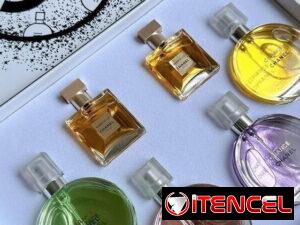 d1008193e074f5a037aa10cc246794c29d1d5699eb28e264773200d311f078a9