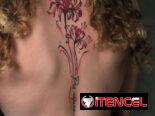 tattoo, tatuajes, tatuaje, tatu, estudio de tatuaje, ink