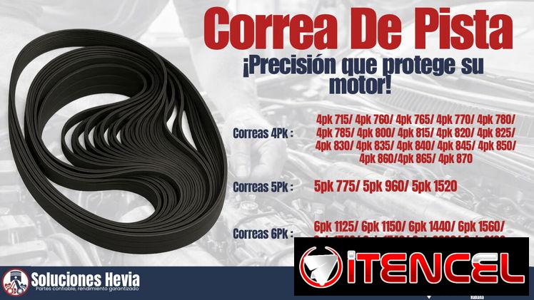 CORREAS DE PISTA