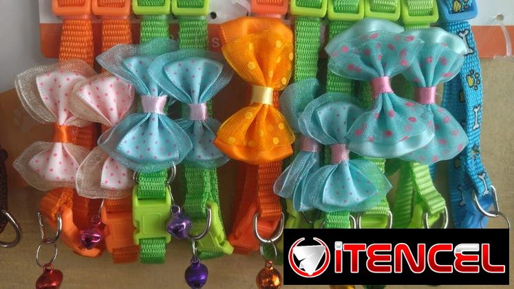 Correas y collares !!