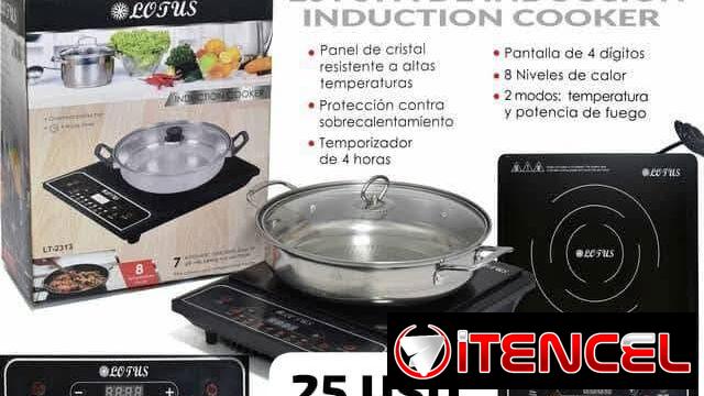 Estufa de induccion