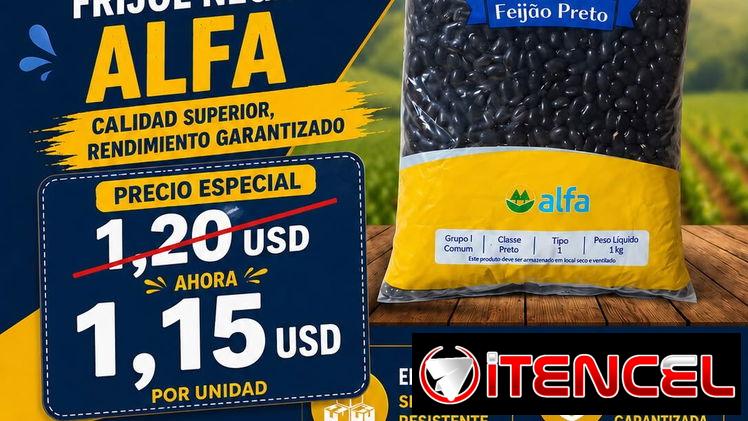Frijol Negro Alfa 1 kg