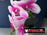 Macetas con flores artificiales