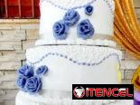 Fiestas de Quince, Bodas, Cumpleaños y más