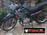 Moto Ava tigrito