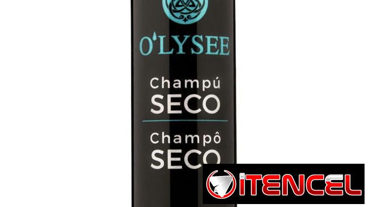 Champú en seco 200ml (10usd)
