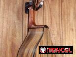 Bandurria – Tapa de Gmelina y parte trasera y laterales de Acacia