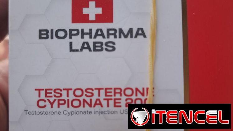 Testosterona