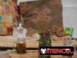ESTERAS DE FIBRA NATURAL, HECHAS A MANO