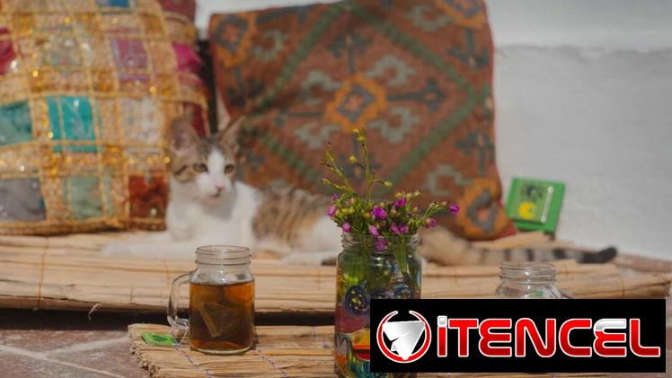 ESTERAS DE FIBRA NATURAL, HECHAS A MANO