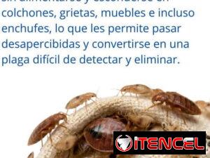d5ccd0c0b28eae9a32564a3949138156a97308a3c516157d31e3051868f8e1db