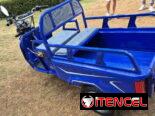 Triciclo pequeño