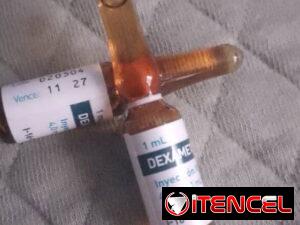d678f016b037f4ffd5b9599944bc482abea18f85b2434e9b28c07846ca088c12