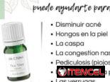 Sérum para acné y pieles grasas TEA TREE🌿🌿