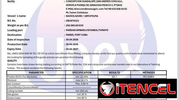 ‼️‼️Contenedores de Harina 50kg ‼️‼️