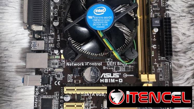 Kit H81M D ASUS