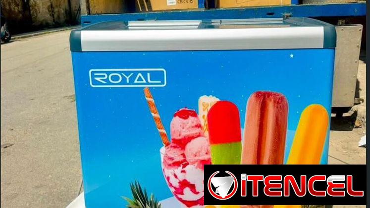 Nevera heladera Royal de 11 pies