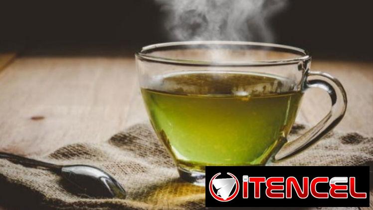 Té verde 🌿caja de 25 bolsitas Mensajería incluida en Plaza