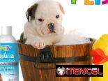 Champú shampoo para perros