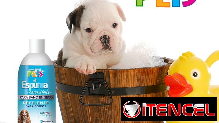 Champú shampoo para perros