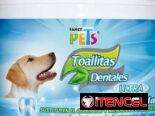 Pasta Dental