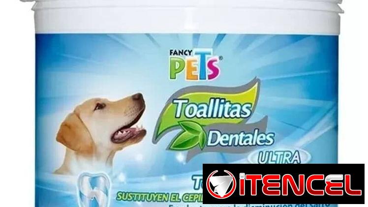 Pasta Dental