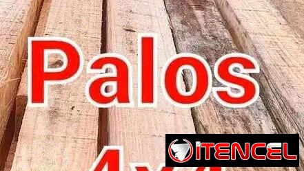 Palos 4 x 4