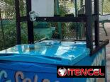 Se venden 2 carritos de Granizado en 15000 cada uno