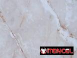 ‼️Azulejos de 40