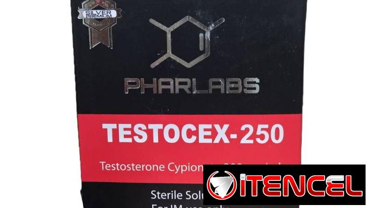 Testosterona