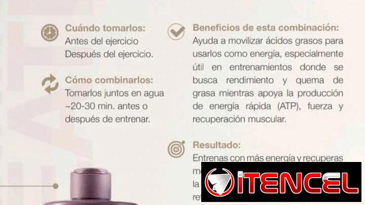 COMBO 🔥CREATINA + L-CARNITINA🔥